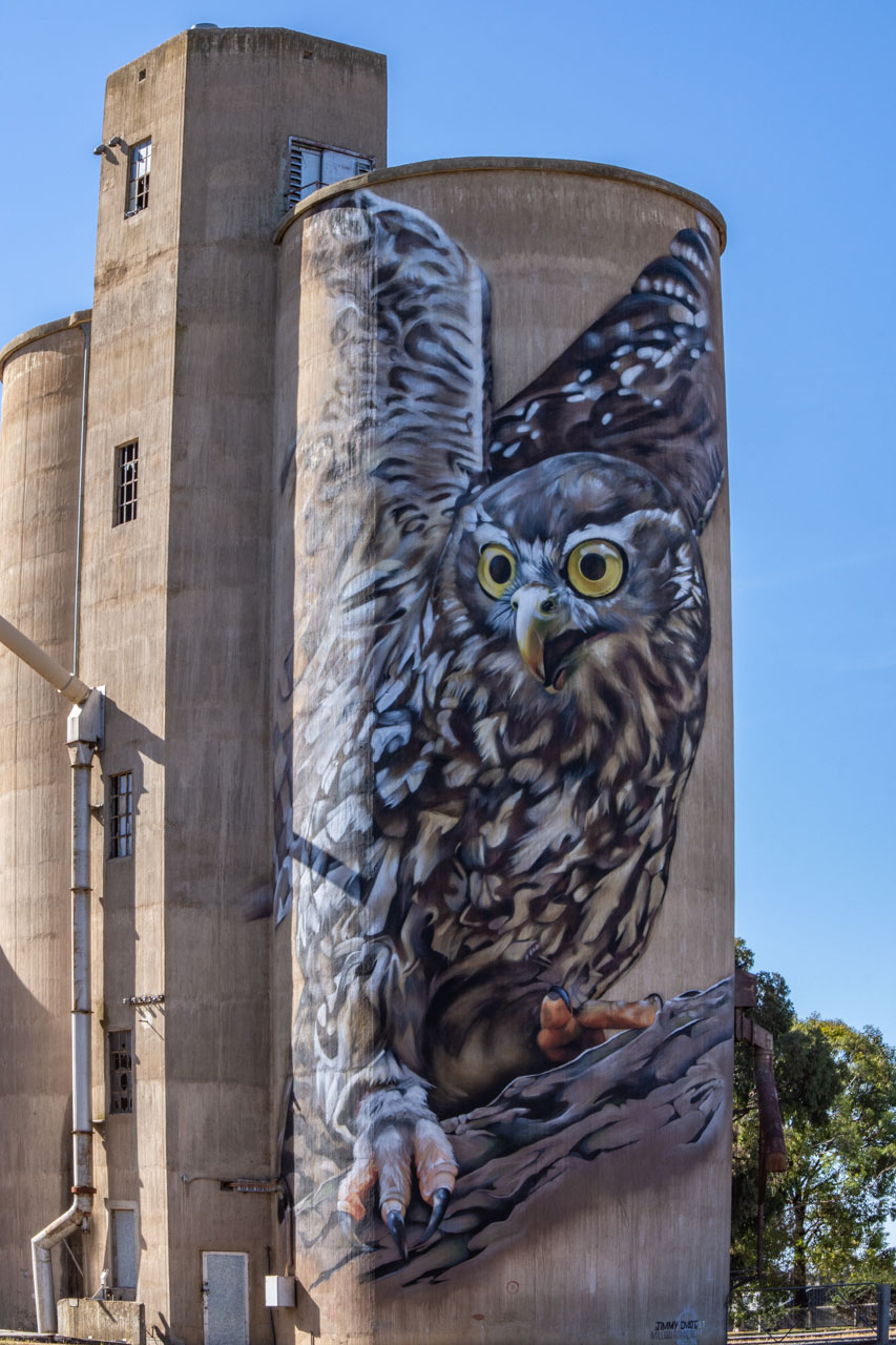 Silo art owl Goorambat north east Victoria