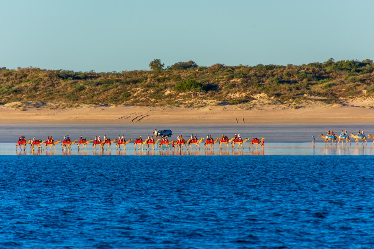 A tourist camel train on a beach