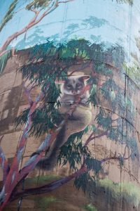 Painting of a possum on a water tower