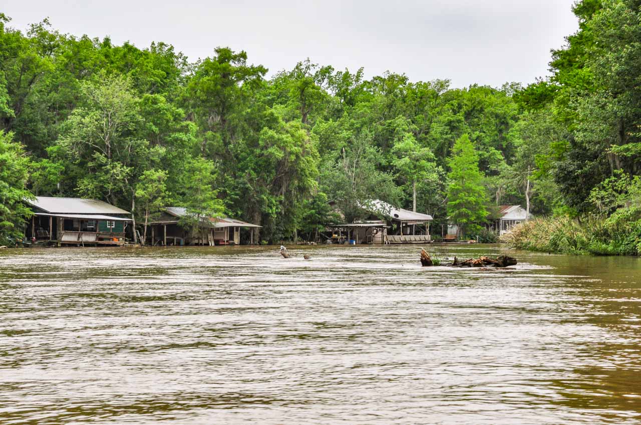 Homes sit on the edge of brown river swamp