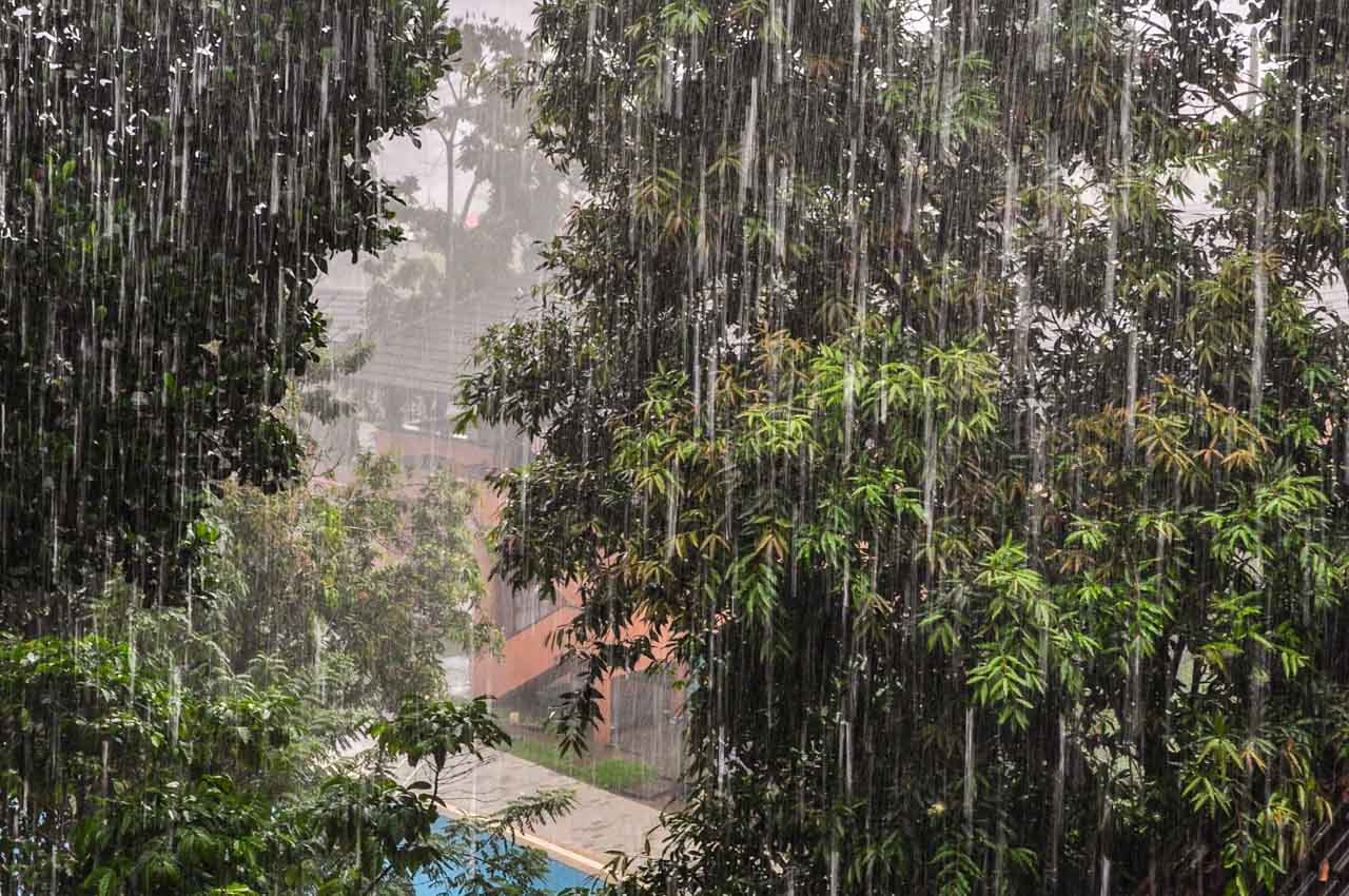 A photo of heavy rain with trees in the foreground and a pool and building in the background.