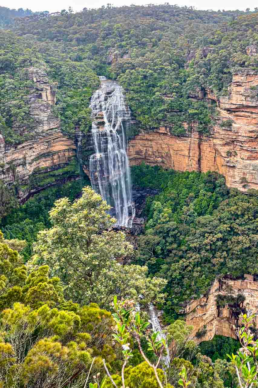 A photo of a waterfall plunging over multiple levels down a cliff and surrounded by bushland.