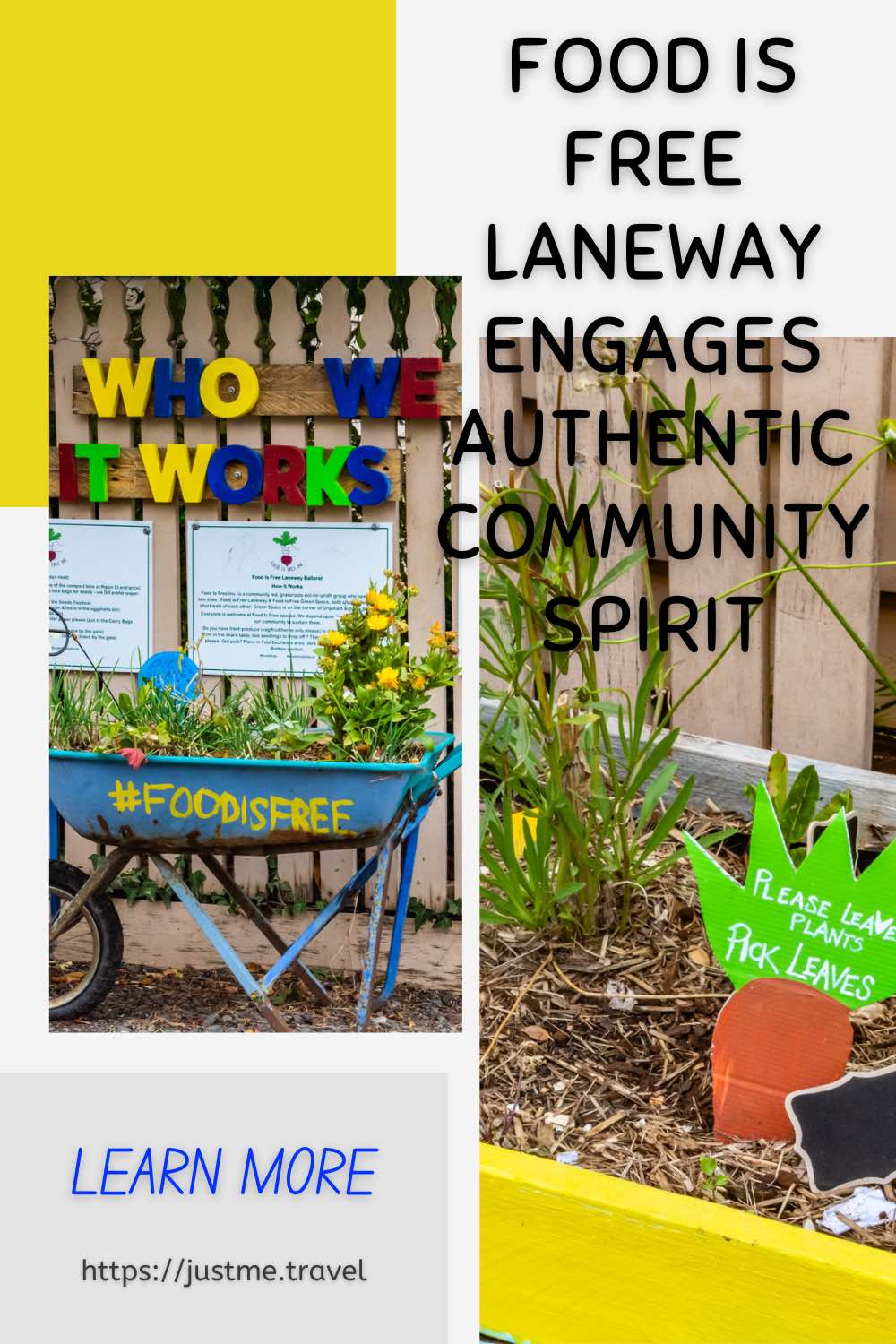 A picture with two photos. One photo is of a blue wheelbarrow with plants in it. The second photo is of a yellow wooden box planted with herbs. Learn more from JustMe.Travel about Food Is Free Laneway supporting community.