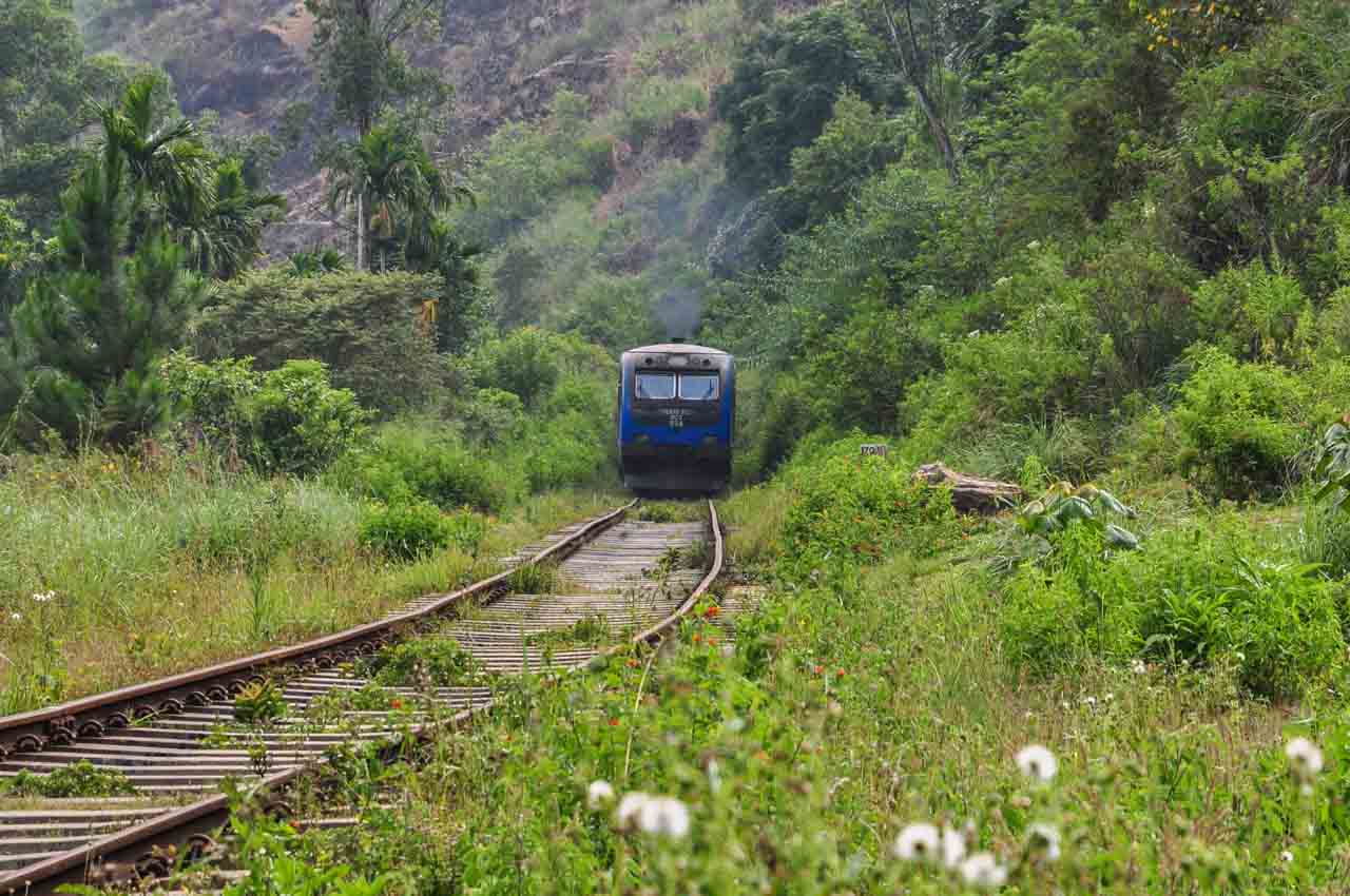 A blue train driving on a railway line through tropical vegetation in hills.