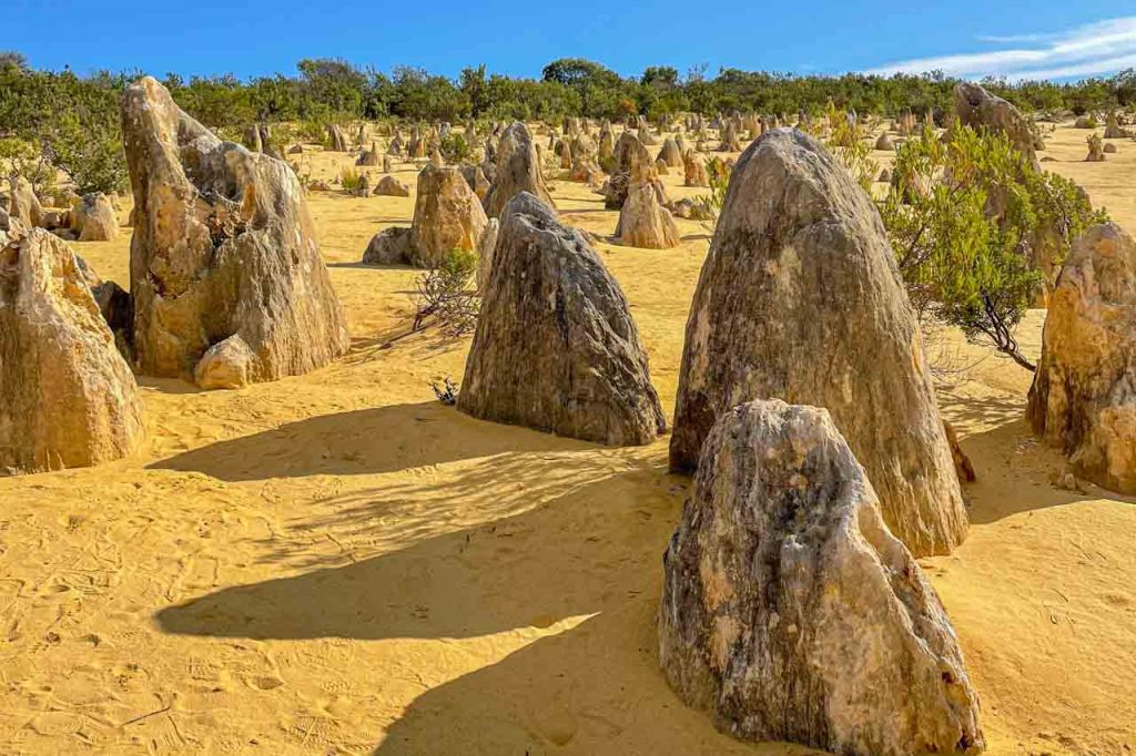 Many rock pillars standing in yellow sand