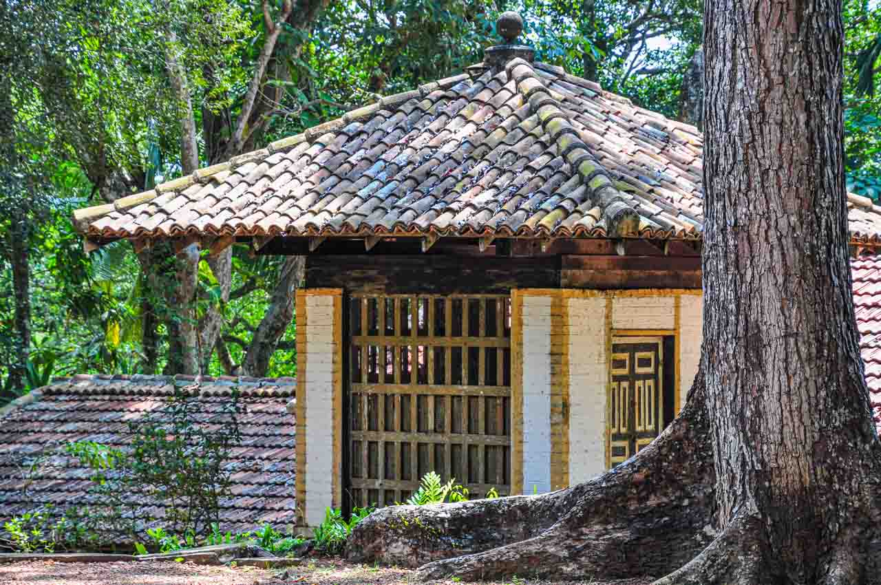 A brick and wood hen house with tile roof set amongst tropical forest.