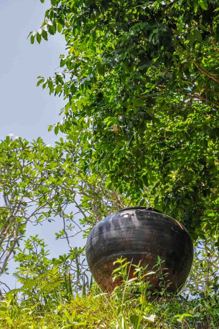 A large black jar on the ground underneath a tree