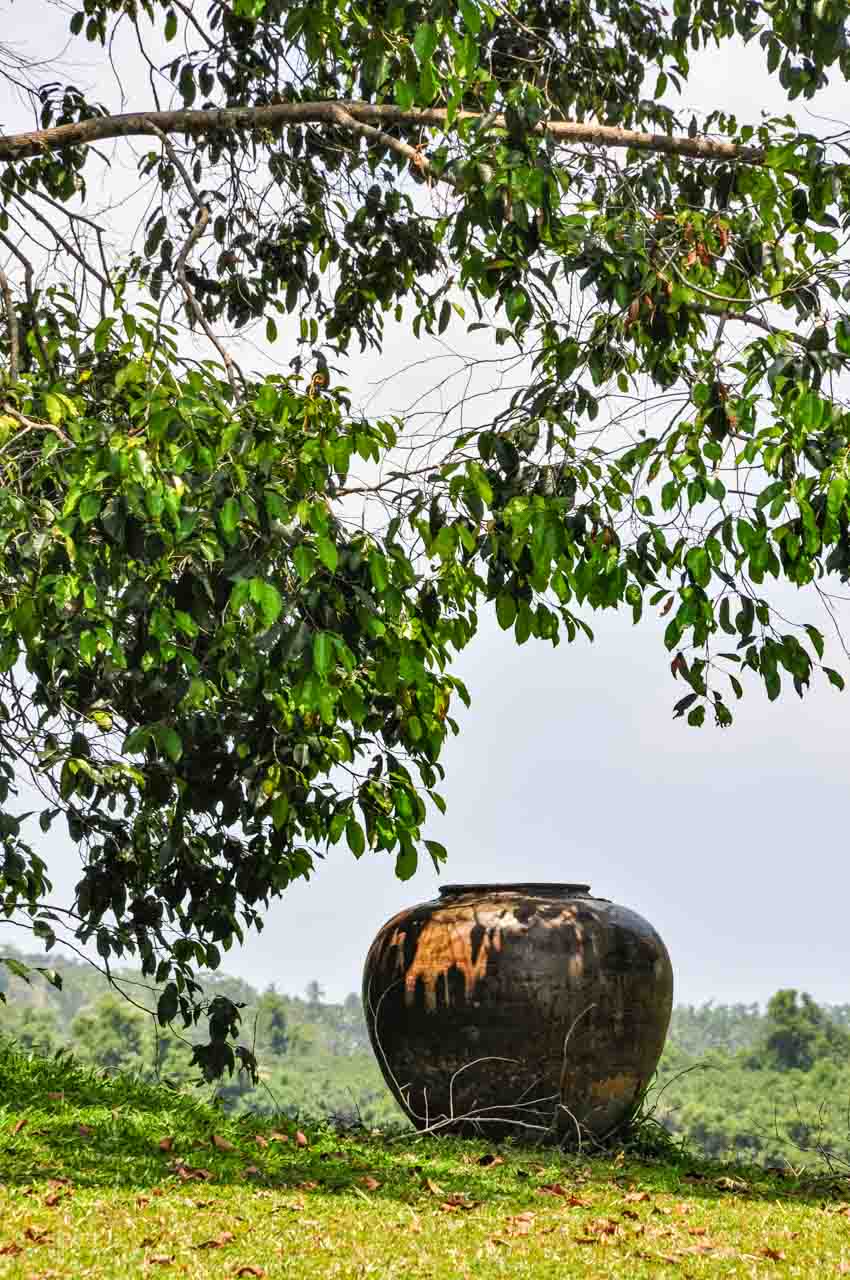 A large black jar on the ground under a tree
