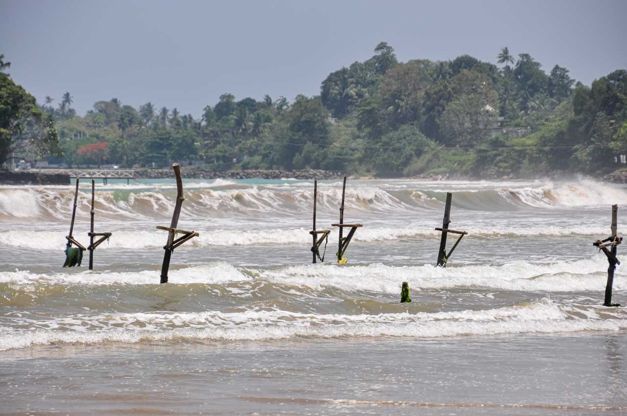 Seven wooden poles with traingle-shaped sitting platforms stand in the surf