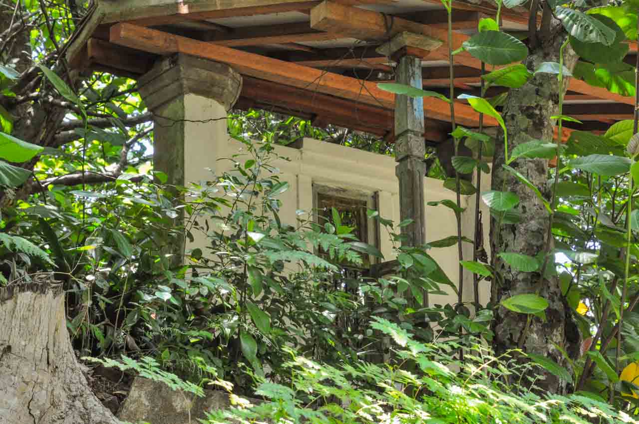 A wall with a window and roof surrounded by green plants