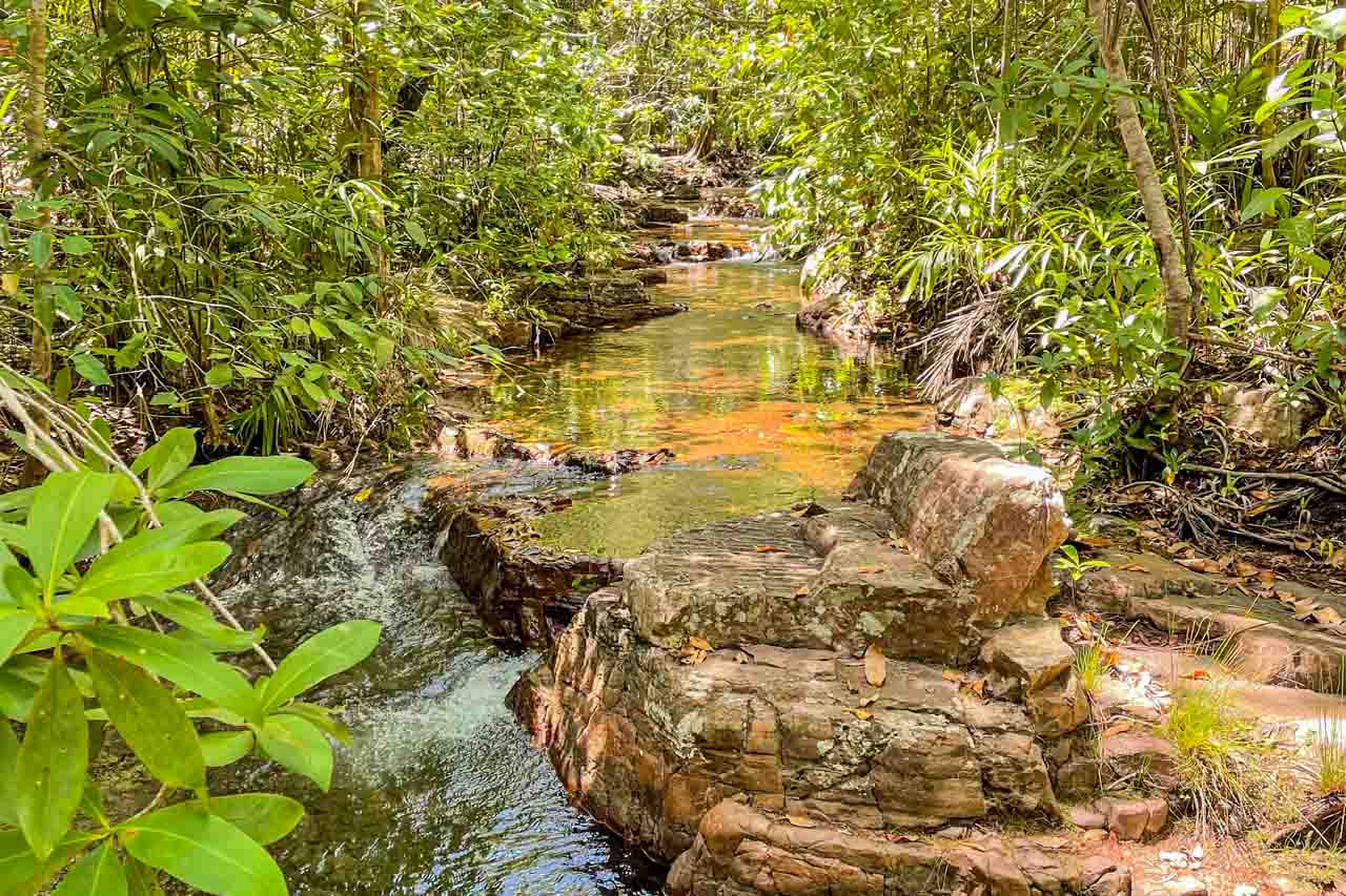 A creek flows over rocks through a tropical dry forest