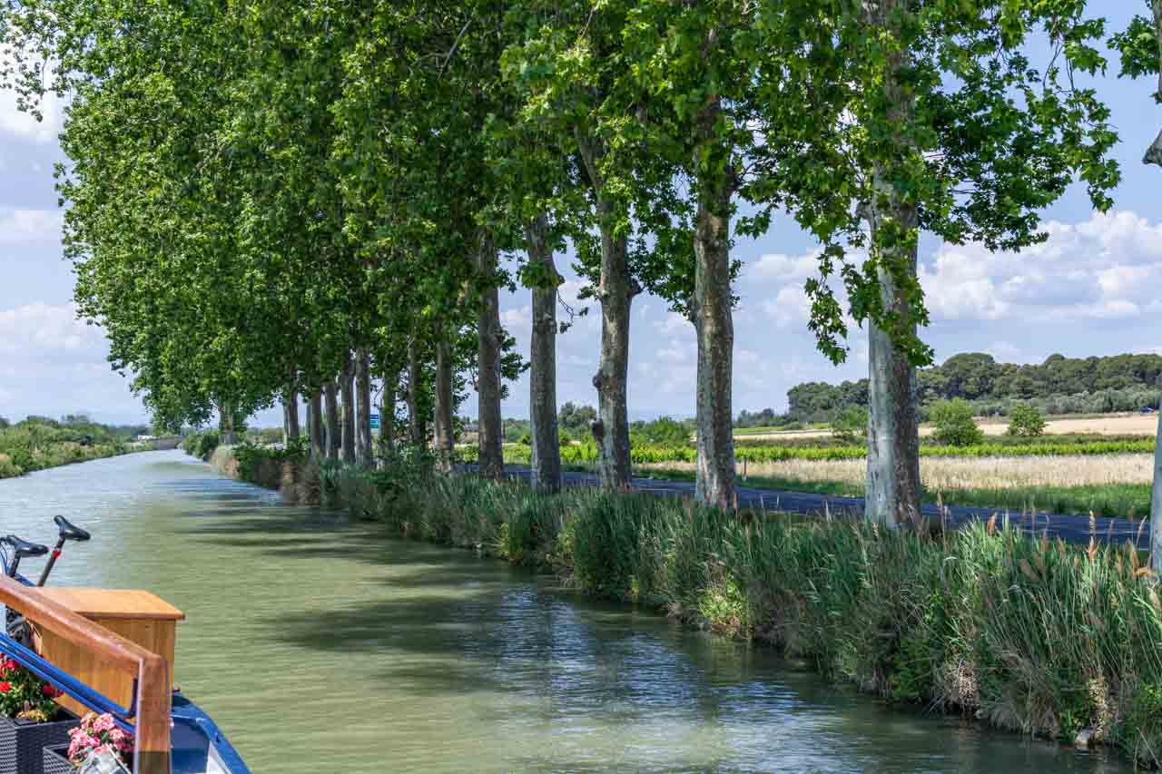 A boat sails along a tree-lined canal.