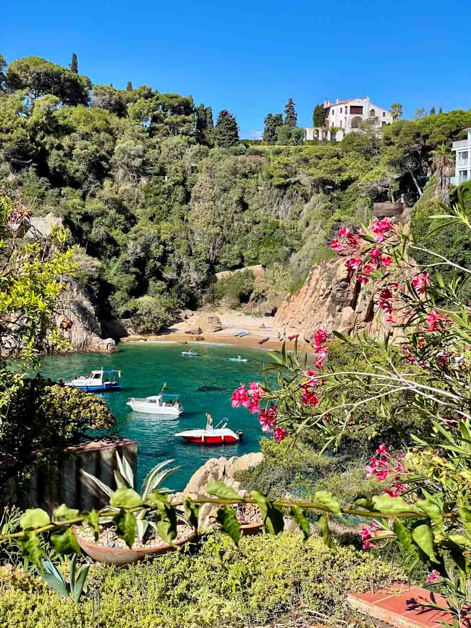 A coastal cove with boats moored and people on paddle boards. The cove is surrounded by houses, greenery, and red flowers.
