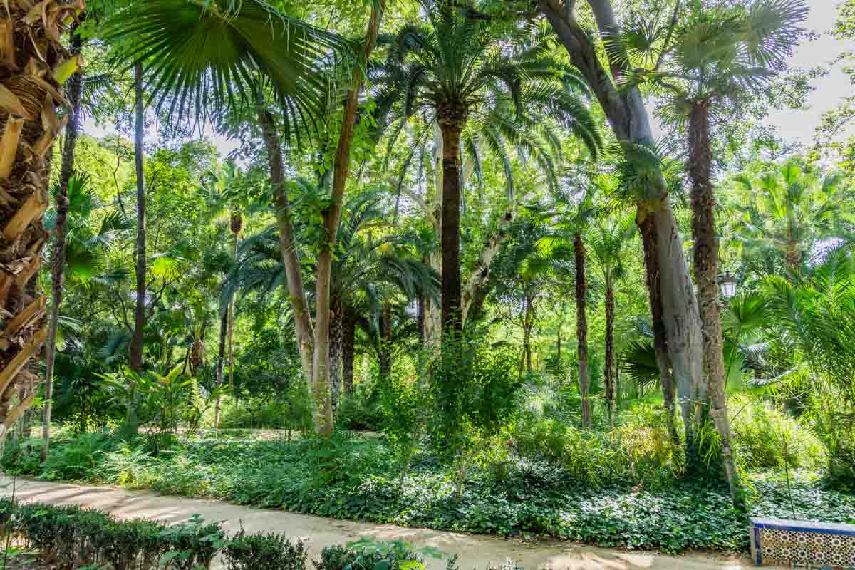 A park planted with palms and green ground cover. a path leads to a multi-coloured tiled bench.