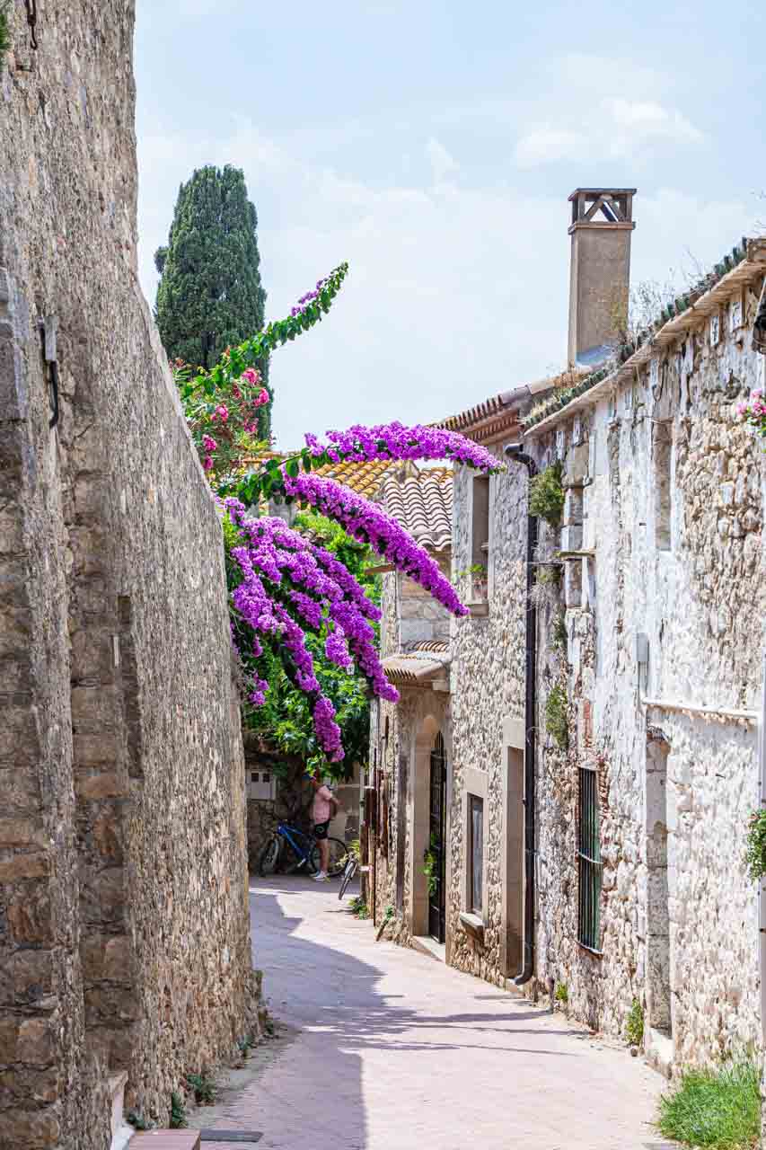 Stone houses line a narrow coblestone street, with puple flowers flowing down from the roof of one house.